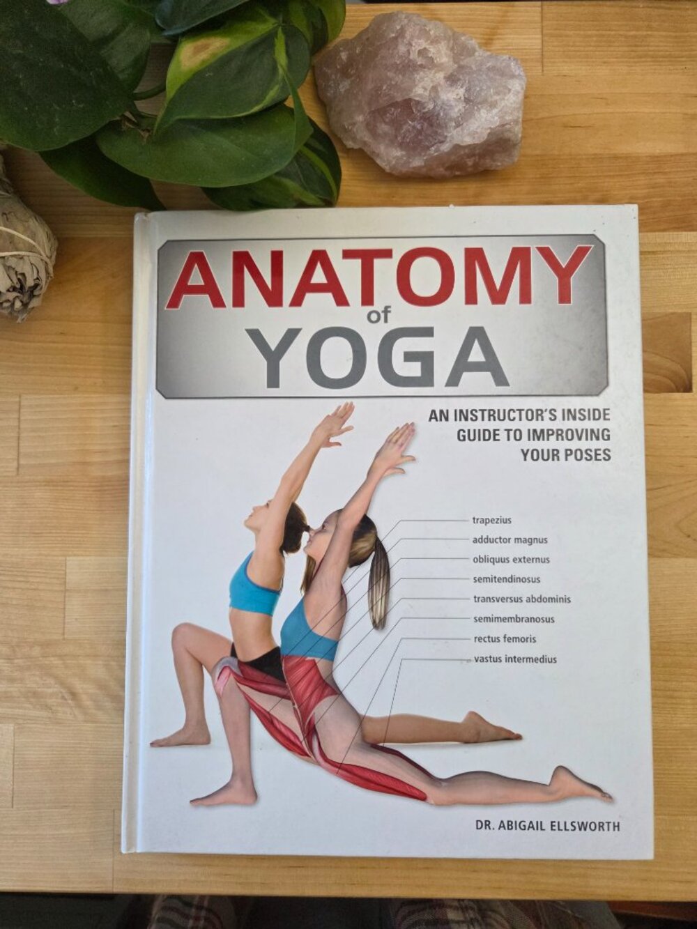 Anatomy of Yoga : An Instructor's Inside Guide to Improving